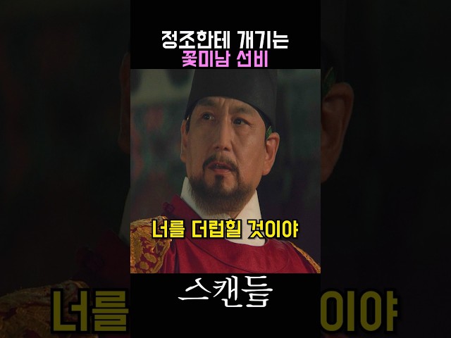 과거 시험에서 왕을 디스한 지창욱의 최후 ㄷㄷㄷ #스캔들 #손예진 #나나 #한선화