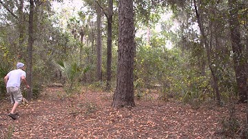 Modest Mouse - The World At Large - music video