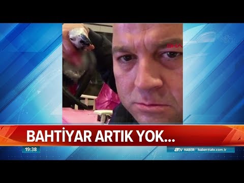 İşkence gören papağan öldü - Atv Haber 20 Aralık 2018