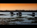 Viaggio in Africa, Botswuana, Zimbawe, fotografia naturalistica