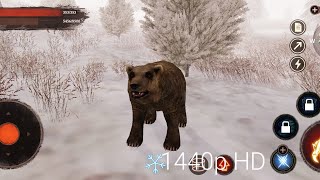 The Bear || Cold :) (ep 2)