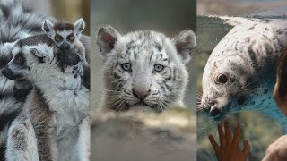 動物園、赤ちゃんがいっぱい！　子育ての季節
