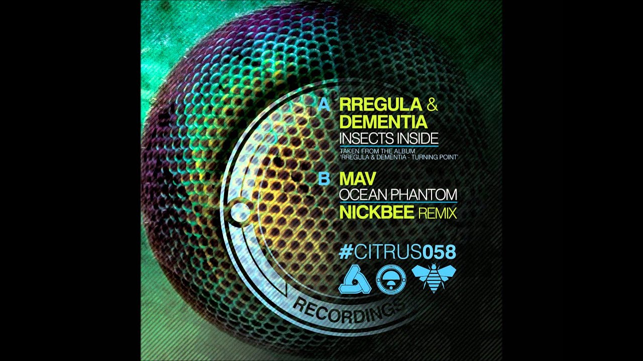 Guarda Rregula & Dementia - Insects Inside su YouTube Guarda Rregula & Dementia - Insects Inside su YouTube
