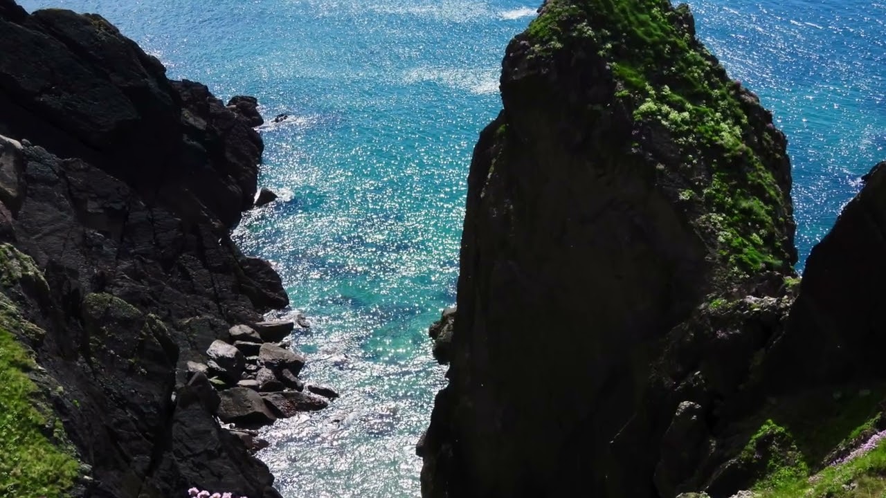 ST ANN'S HEAD, PEMBROKESHIRE, 3RD MAY 2025...