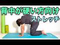 【背中が硬い方向け!ストレッチ】4分