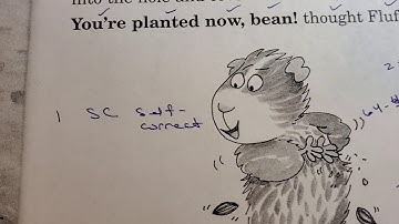 running record level i demo