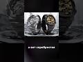 110е в стали / Casio GM-110BD #casio #gshock #касио