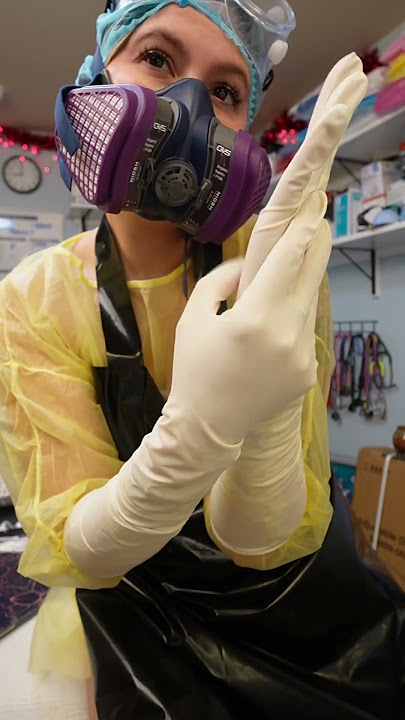 Elbow length surgical gloves ASMR #glovesounds #asmrtriggers #gloves #asmrvideos #asmrgloves #relax