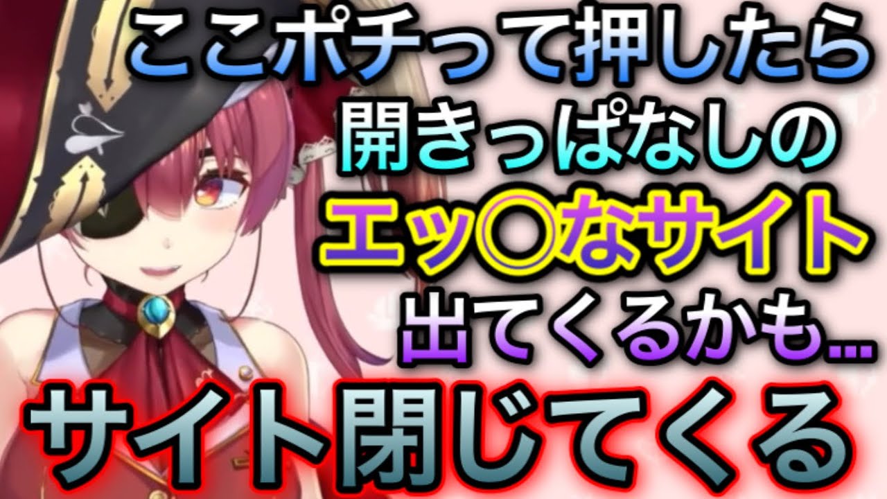 何個もエッなタブを開いていた事がバレる船長【宝鐘マリン/切り抜き】