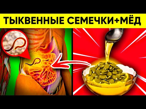 Вот Что Творят Тыквенные Семечки с Медом! (Реальная Польза и Вред Тыквенных Семечек с Медом)