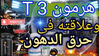 طريقة رفع  معدلات  حرق  الدهون  فى الجسم  وهرمون T3