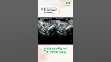 Tim thai của thai 6-7 tuần nghe như thế nào?