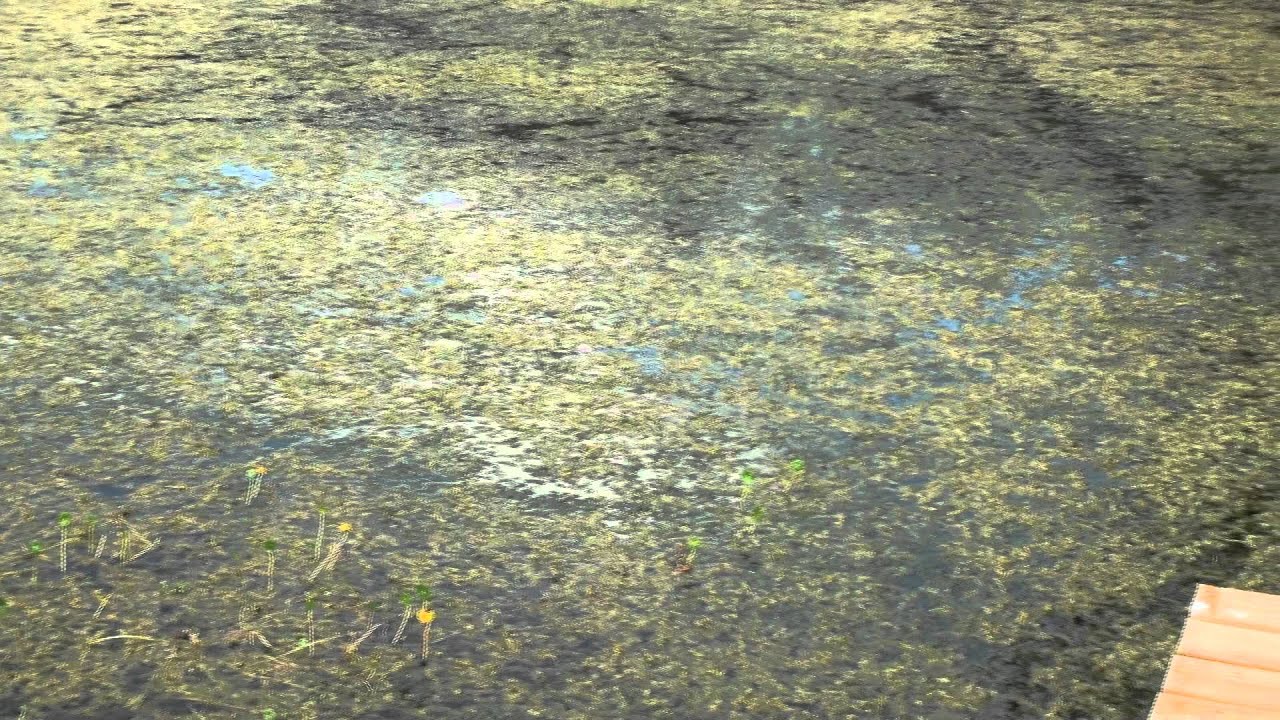 Fisheries Science Careers: Working Towards Sustainable Fisheries