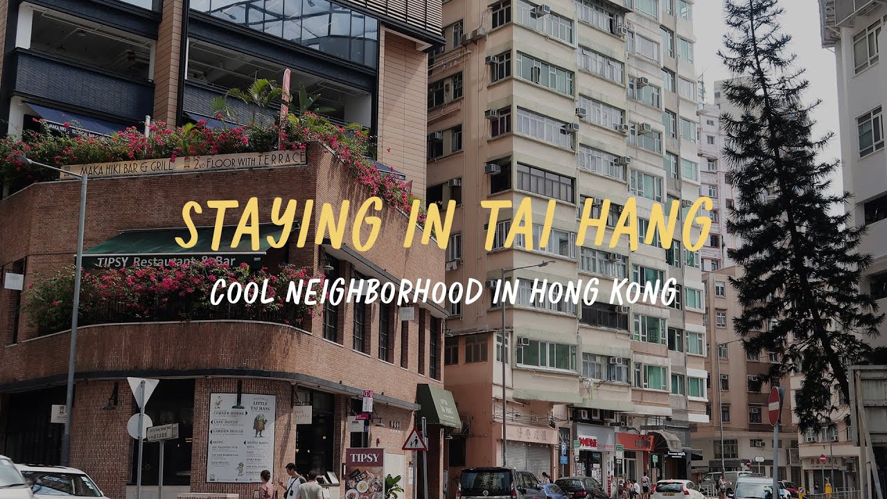 Hong Kong Vlog | Tai Hang, Hong Kong Museum of Art, K-11 Musea