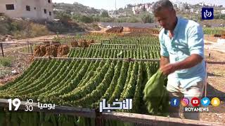 الإقلاع عن التدخين في تركيا بجلسة واحدة شبكة ريهابتورك للعلاج في تركيا
