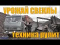 ГРУЗОВИКИ КАМАЗЫ))ТЕХНИКА НА УРОЖАЕ СВЕКЛЫ НА ПОЛЯХ САХАРНОГО ЗАВОДА В г.СЕРГАЧ