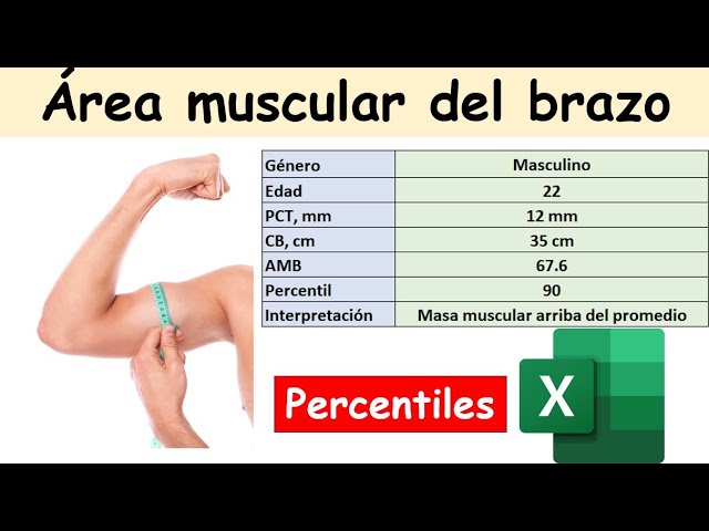 almacenamiento perecer blanco Cálculo del Área Muscular del Brazo (AMB): Percentiles - YouTube