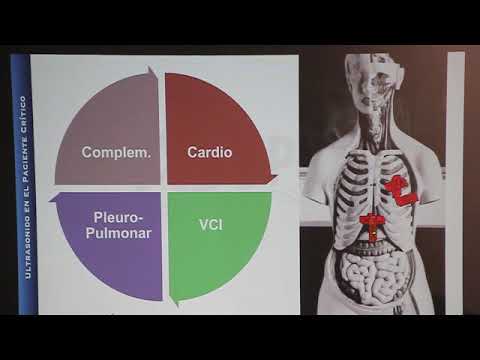 Vídeo: Ecocardiografía En El Manejo Del Shock