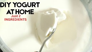 HOW TO MAKE YOGURT AT HOME WITH 2 INGREDIENTS | STEP BY STEP DIY YOGURT FOR BEGINNERS