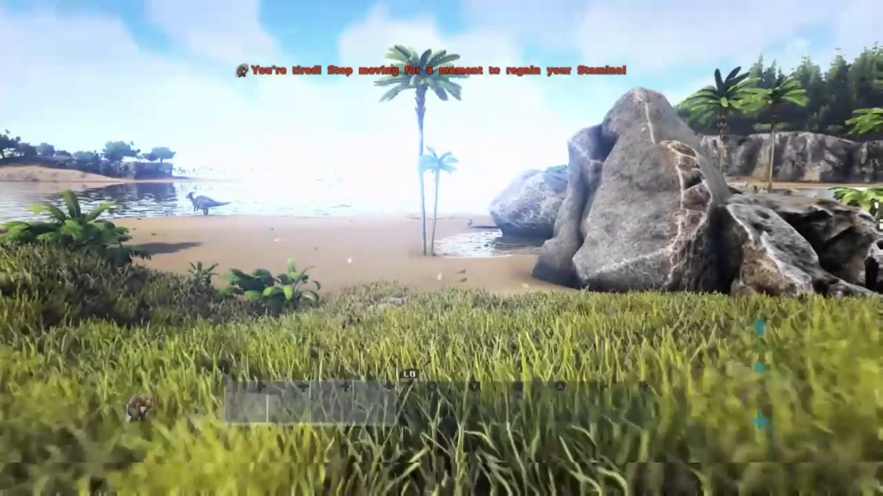 Ark Survival Evolved The Waterskin YouTube