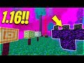 I NUOVI BLOCCHI STRANI DELLA 1.16! - Minecraft ITA 1.16