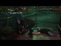 EXCLUSIVE: Shane Strickland and Sami Callihan attacked outside nightclub