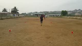 50m×7 shuttle run