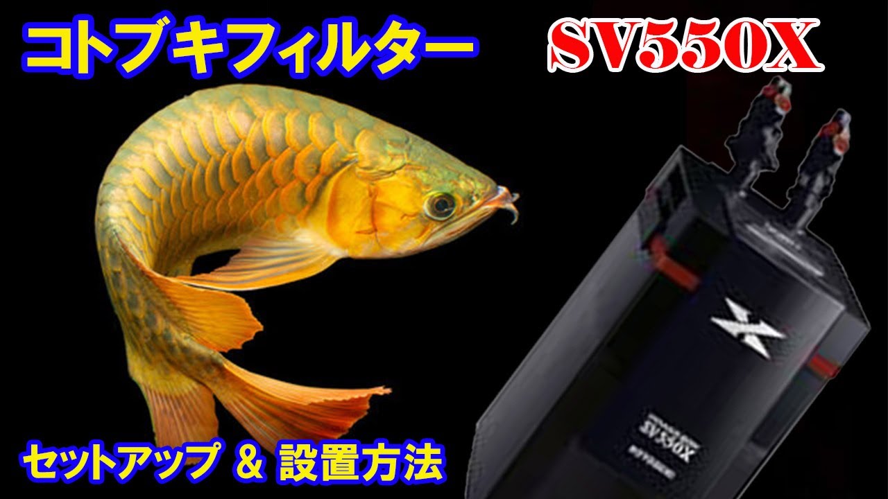 コトブキ sv550x 2台 エーハイム 500 1台 あと諸々 【公式通販】