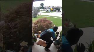 Amazon delivery driver attacked by a nesting group of birds 😂 #shorts #amazon #funnyvideo