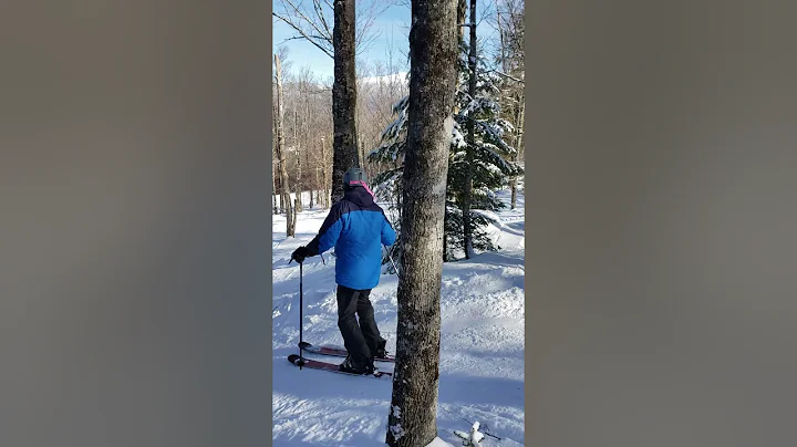 Rick and Co in the trees at Bretton Woods