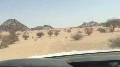 دحيم الحماد تلاوة من سورة ق بالبر ١٤٣٧هـ