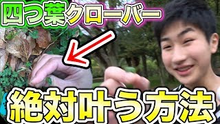 【破産】「四つ葉のクローバで願い事」を本当に叶えてみた!w 四つ葉のクローバー 検索動画10 【破産】「四つ葉のクローバで願い事」を本当に叶えてみた!w 四つ葉のクローバー 検索動画 10