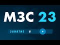 МЗС 23 День 8 | Бизнес молодость