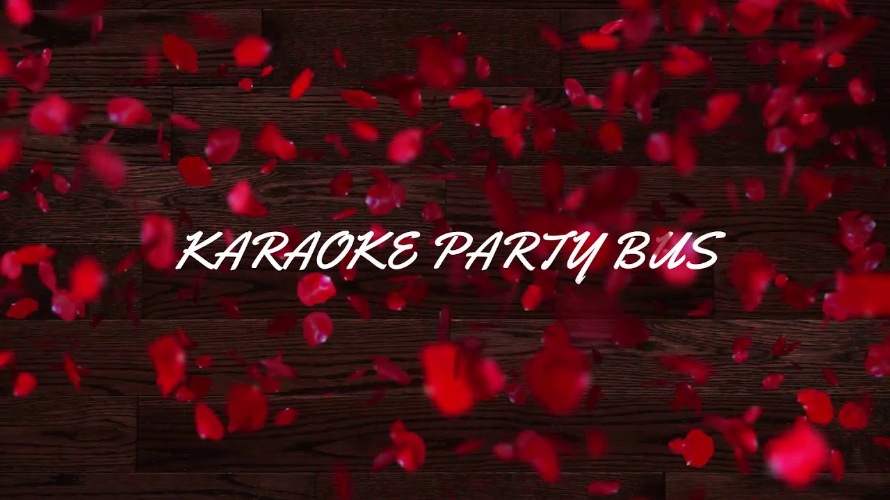 23–25 Pax Volcano Party Bus — video tour