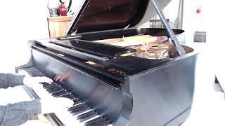 Video thumbnail of "Chopin Nocturne Emin 72 1"
