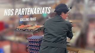 Les partenariats de Triselec / Episode 1 : Galline Frais