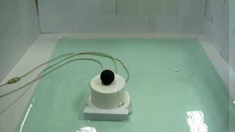 Visual Servo Based Tracking Control of an Omnidirectional Mobile Robot