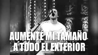 🎸 Ricky John Frusciante Subtitulos Español