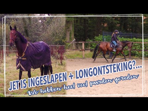 Video: De Stad Verlaten Vanwege Het Paard