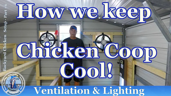 How we keep our CHICKENS Cool in Summer?