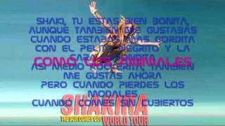 Gordita - Shakira y René Calle 13 con letra