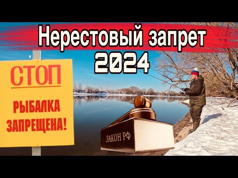 Нерестовый Запрет 2024! На Что Ловить Можно Рыбалка На Спиннинг Под Запретом