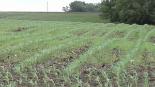 Ag Minute #492 (Original Air Date 6/4/10)