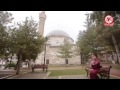 يوم ورا يوم طيور الجنه 