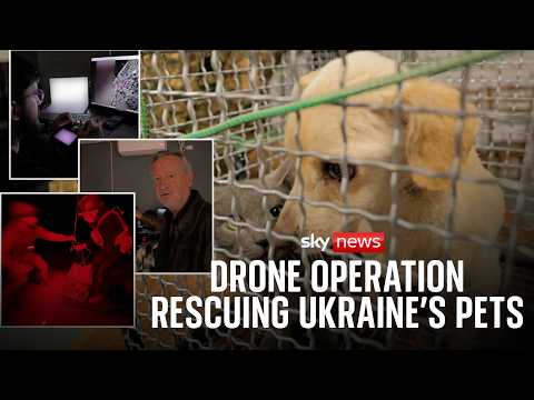 Ukraine’s drone operation rescuing pets from the war zone