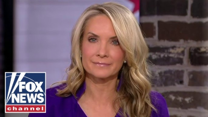 Dana Perino I Would Have Been Fired If I Did This