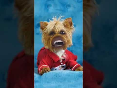 Rosie fans - YouTube