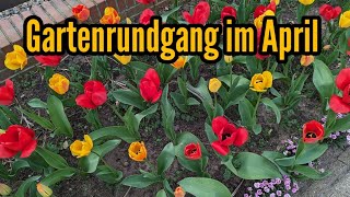 Gartenrundgang im April - Das war doch schon wie Sommer!