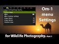 Om1 camera menu settings for wildlife photography part 1