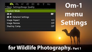 OM1 camera menu settings for Wildlife Photography. Part 1